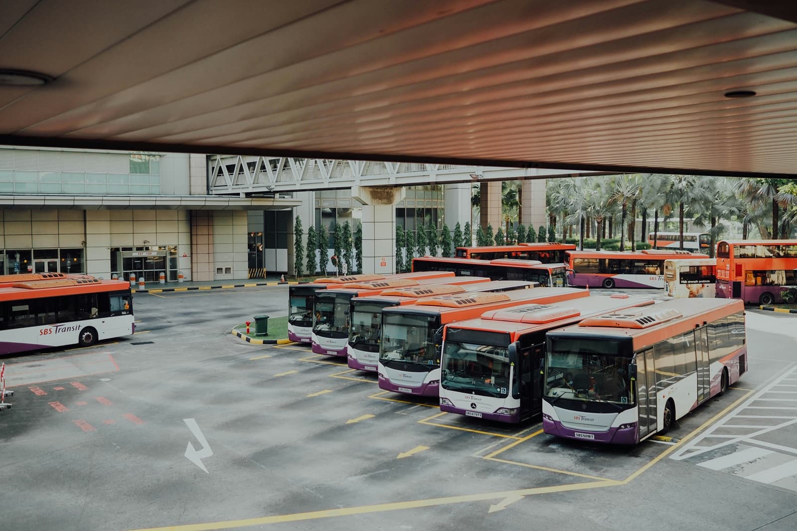 Specialty transportation business